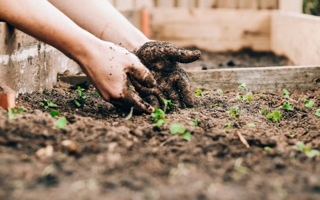 Close-up of a person's hands getting dirty while planting in a garden, symbolizing that success comes through effort and not shortcuts.
