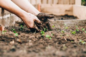 Close-up of a person's hands getting dirty while planting in a garden, symbolizing that success comes through effort and not shortcuts.